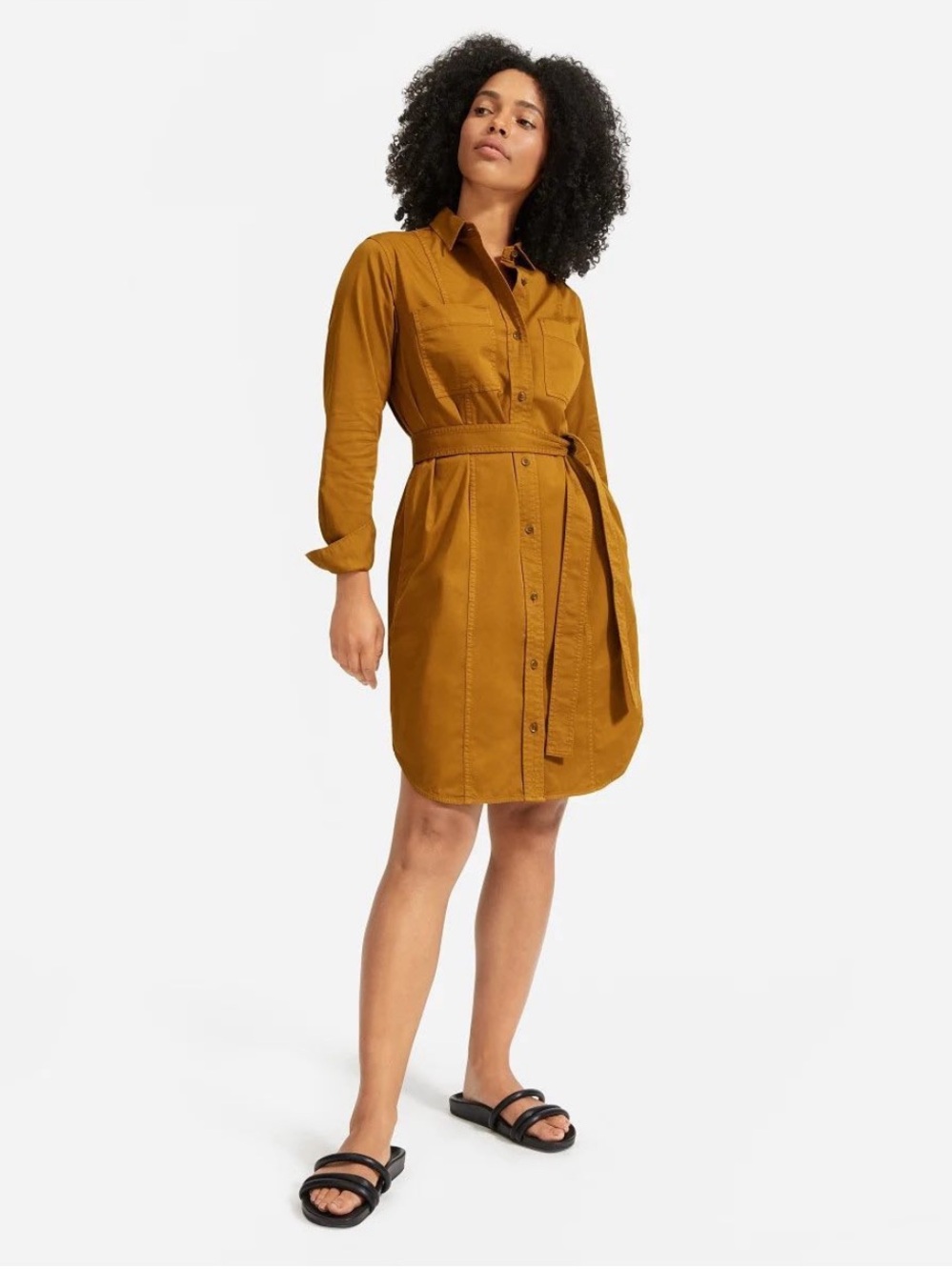 Everlane Cotton Utility Dress